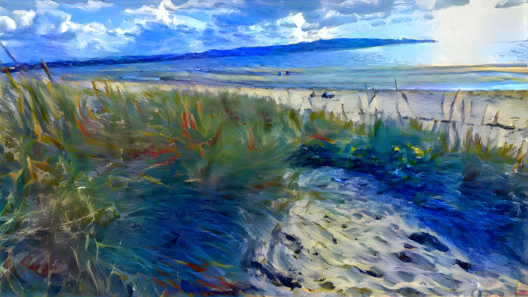 wild summer beach