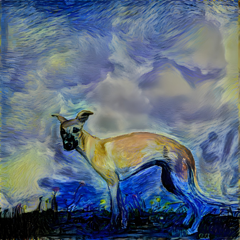 Starry Night Whippet