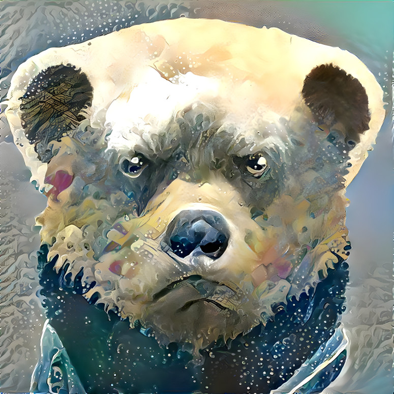 bear bix