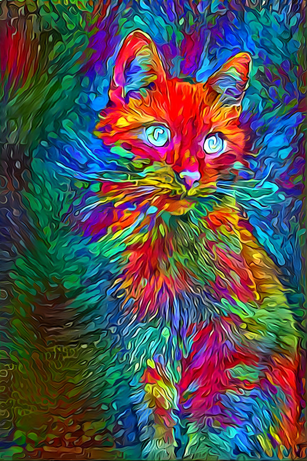 Bright cat