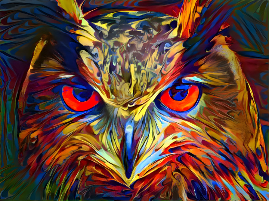 Owl