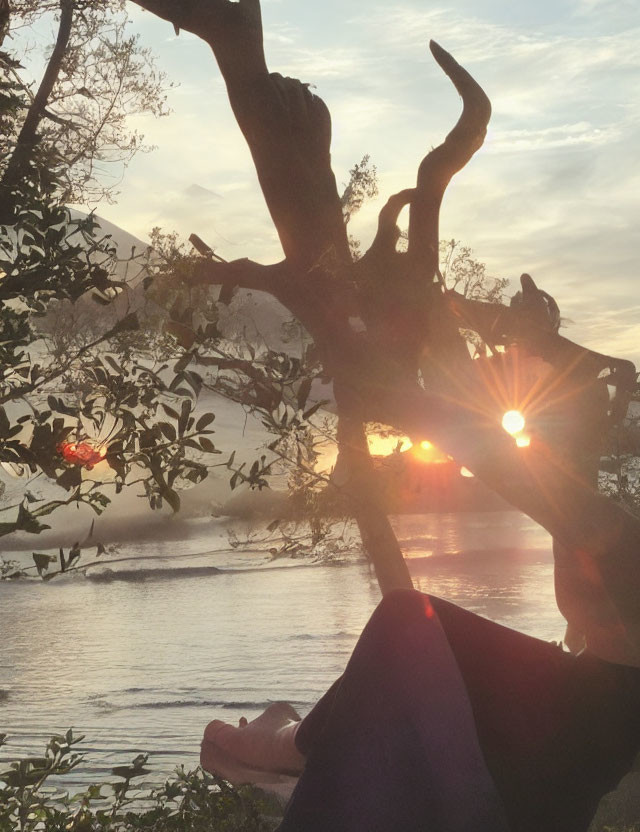 Serene lake sunset with silhouetted tree branches