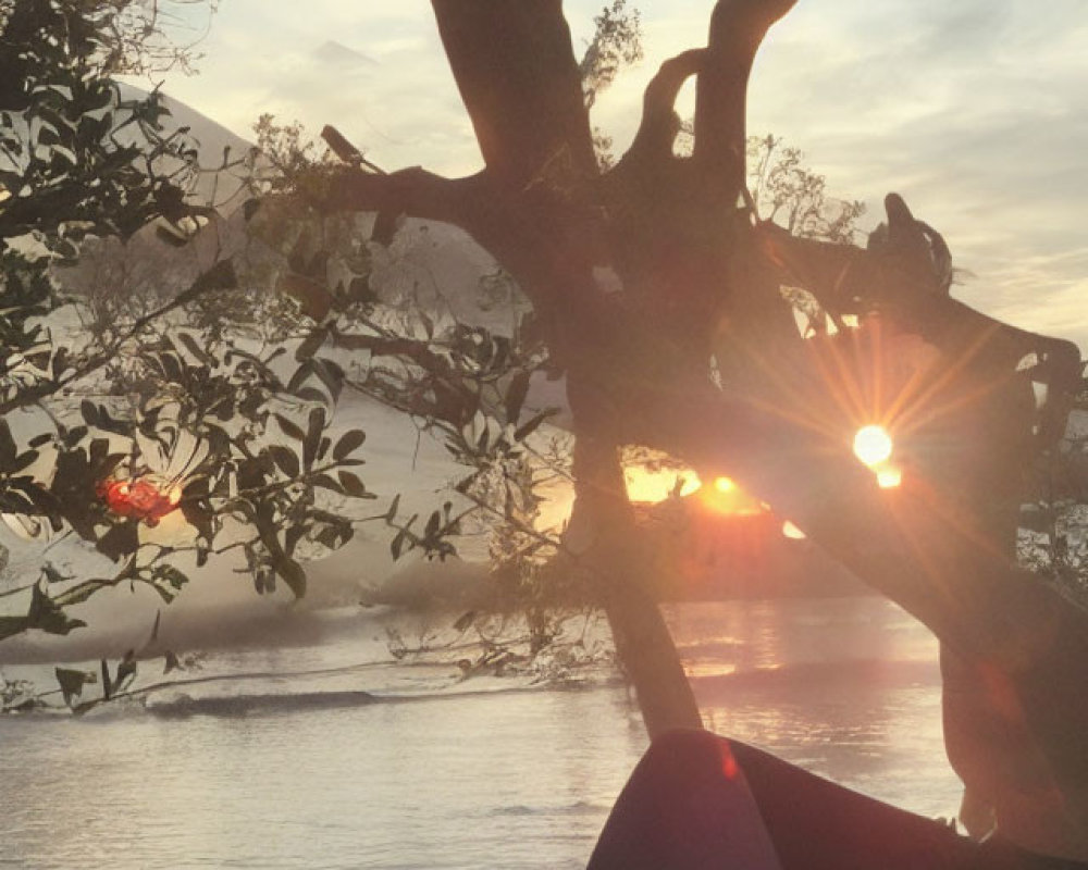 Serene lake sunset with silhouetted tree branches