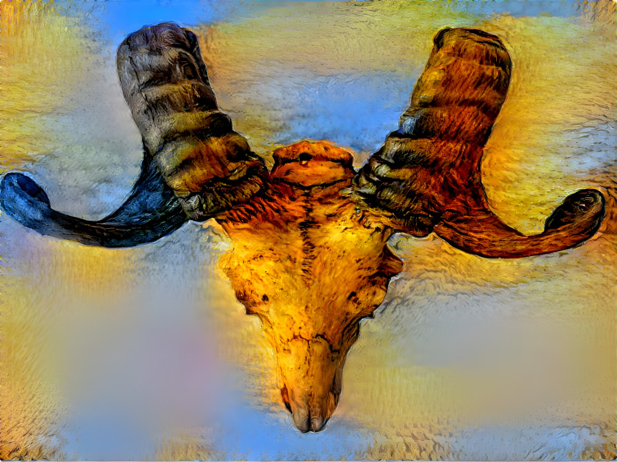 Heated Ram Skull