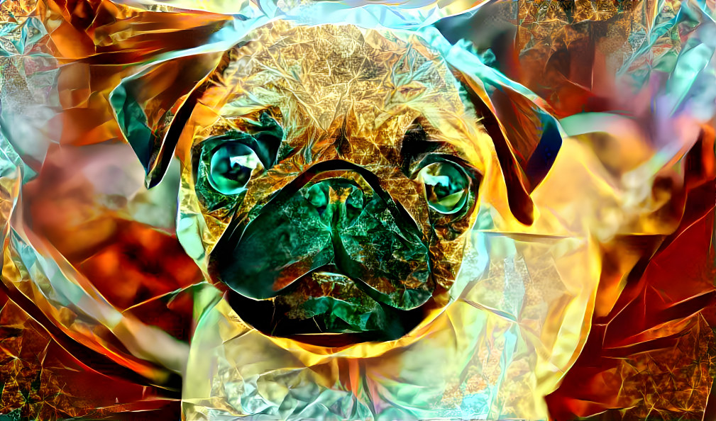 pug