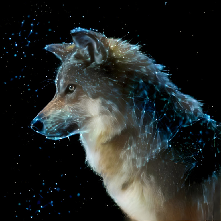 Star wolf