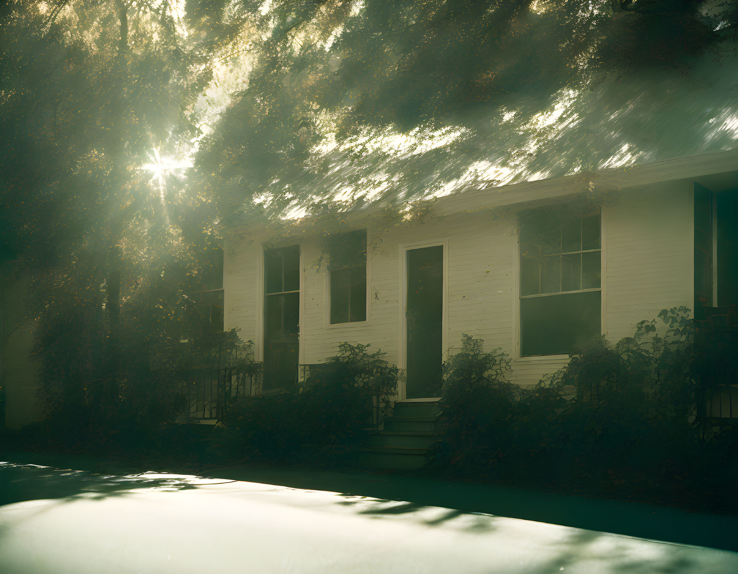 Sunlight filters through tree leaves onto white house, creating warm glow and shadows.