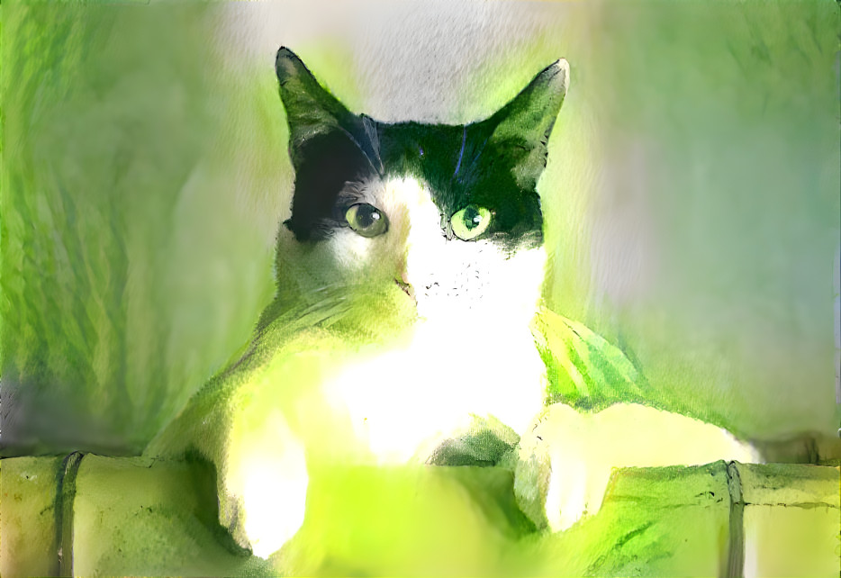 Lime Cat