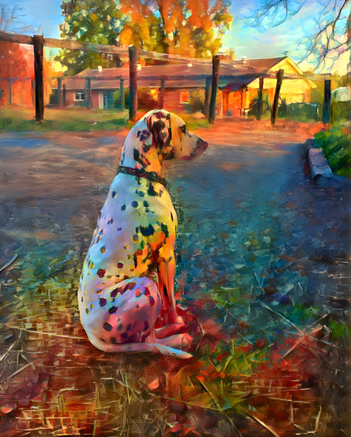 Dalmatian 2