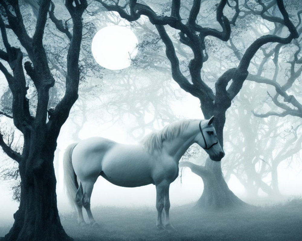 Mystical white horse in foggy forest under pale moon