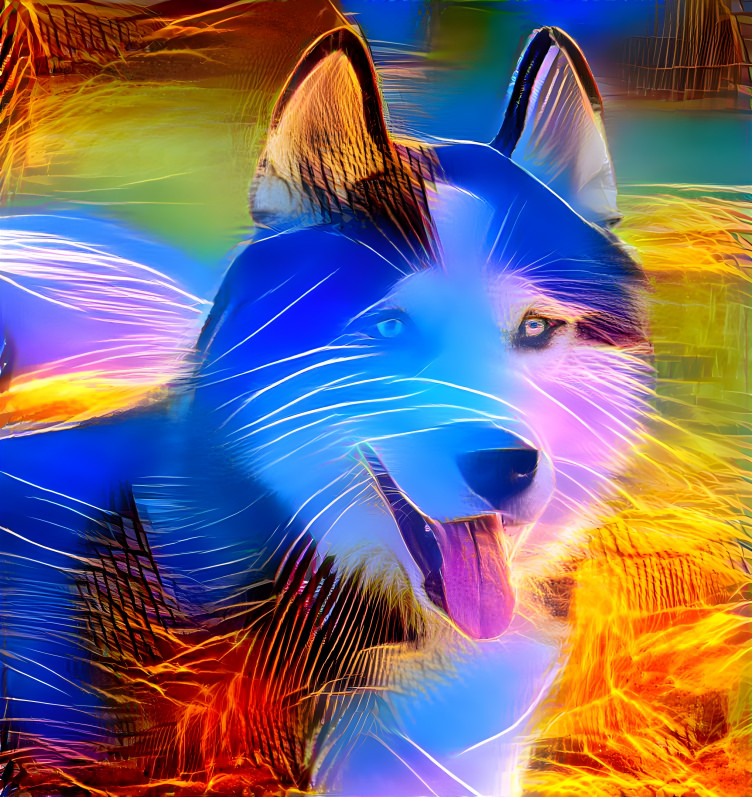 husky art