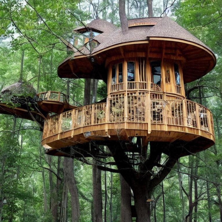 Rounded multi-tiered treehouse with wooden railings and large windows