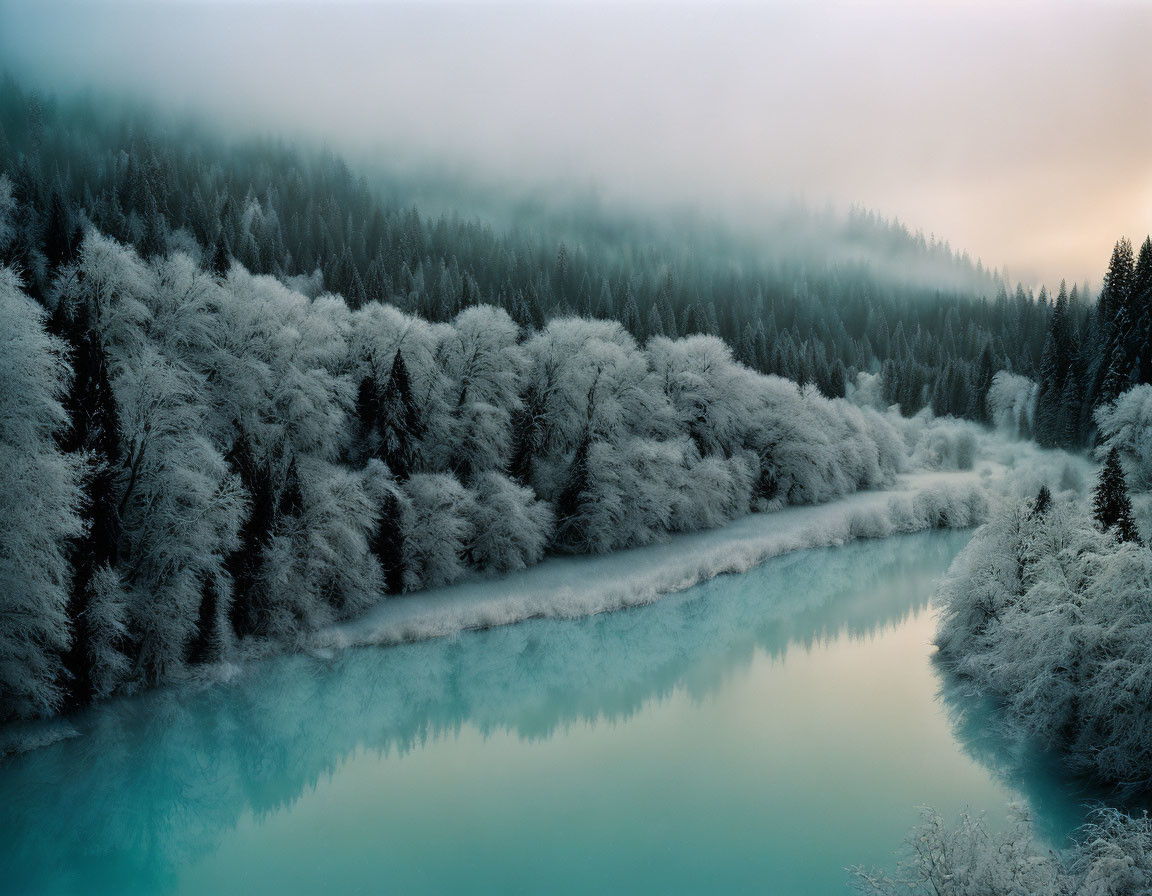 Tranquil winter landscape: Frost-covered forest and serene river