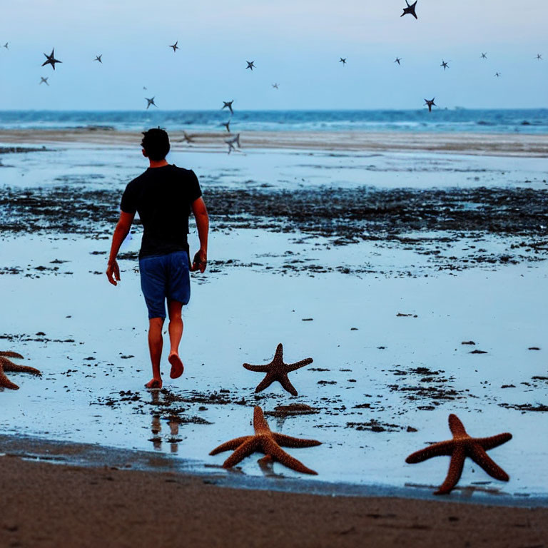 Man walking on starfish beach at twilight with birds in sky