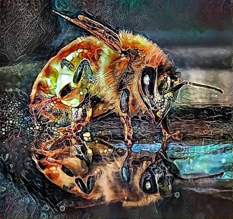 Bee 