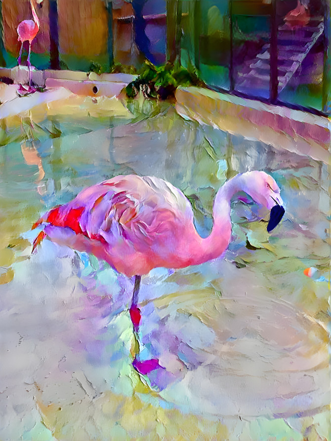 flamingo