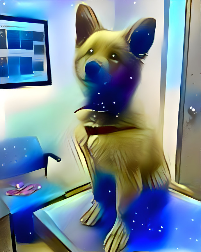 space doggie