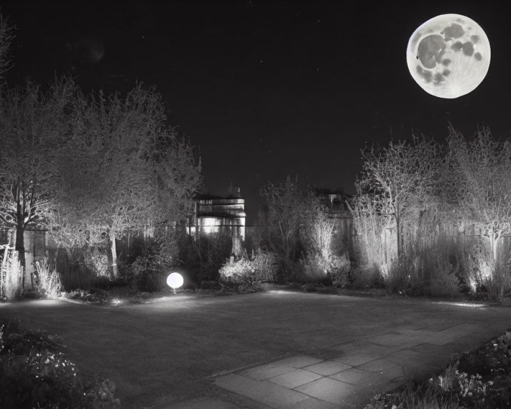 Tranquil monochrome night garden with full moon and spherical lights