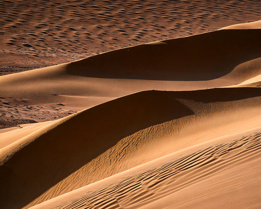 Sharp ridges and patterns of sand dunes in warm desert light