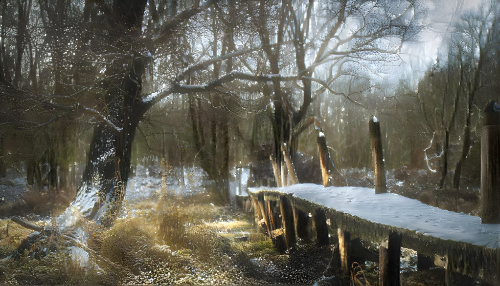 Old bridge in the forest 