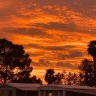 Dramatic red sky over deserted landscape with trees and steps