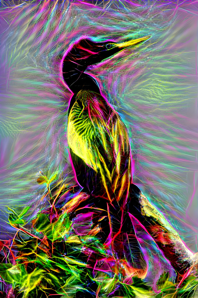 Anhinga