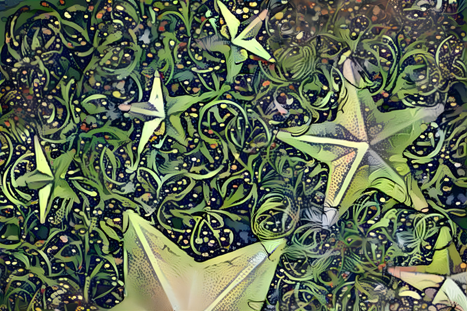 Floral Stars