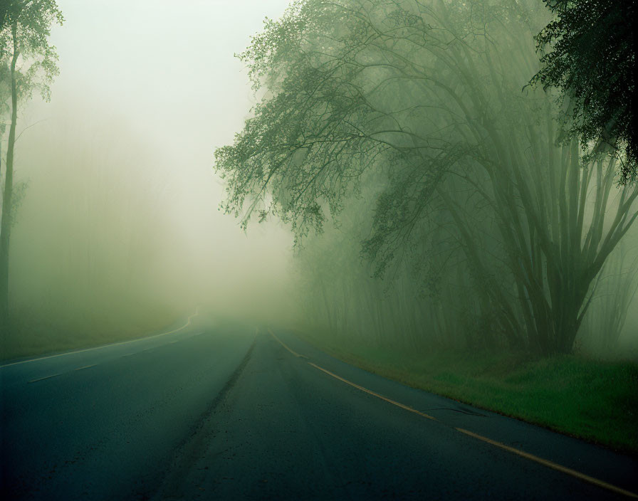 Foggy morning road with disappearing trees