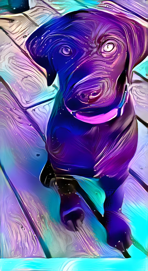 Color dog 