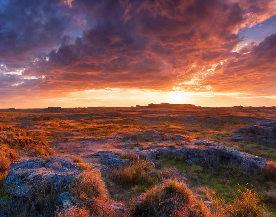 Vibrant sunset with fiery clouds over serene prairie landscape.