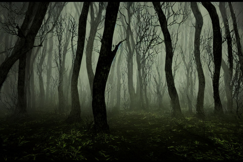 Gloomy forest with dense fog and twisted trees