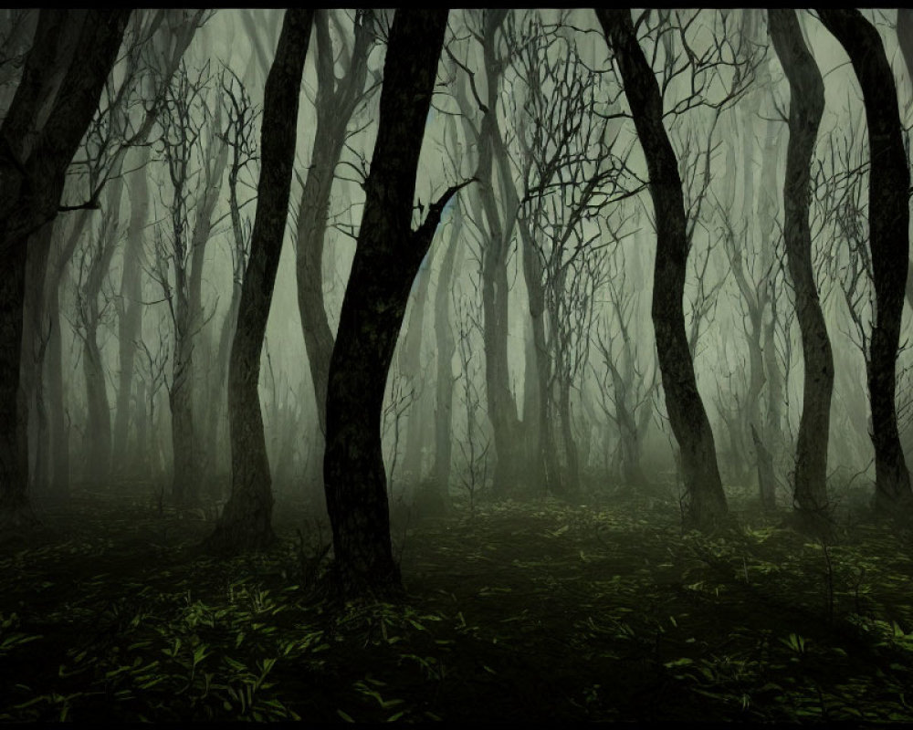 Gloomy forest with dense fog and twisted trees