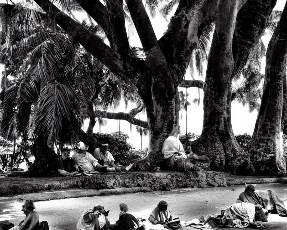 Monochrome image: People relaxing under palm trees