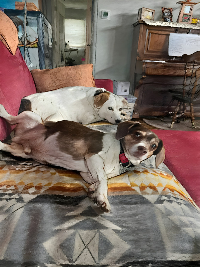 Dogs lounging on couch