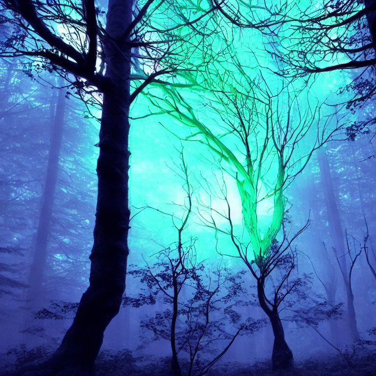 Mystical Teal Glow in Foggy Forest with Silhouetted Trees