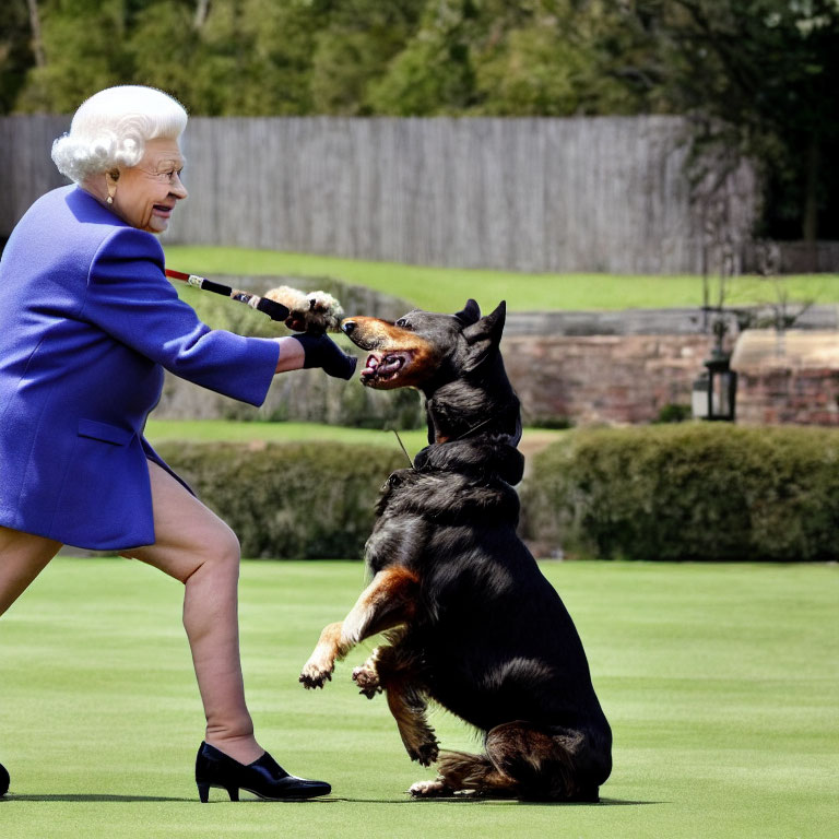 Woman in Blue Outfit Plays with Jumping German Shepherd