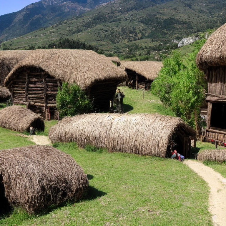 Thatched Roof Wooden Huts in Green Hilly Landscape
