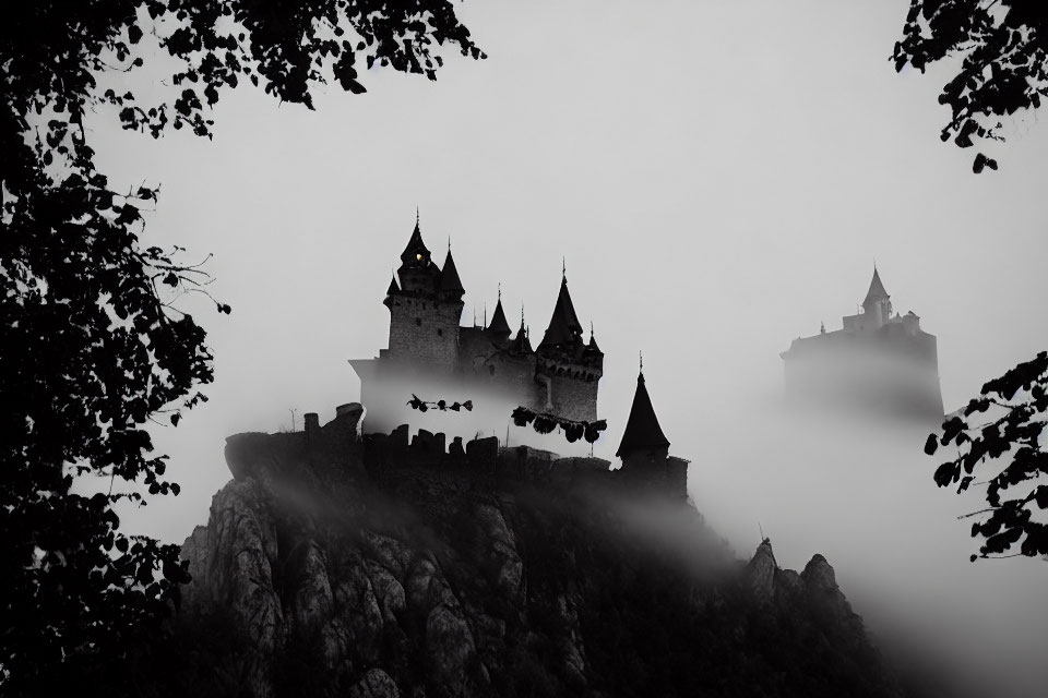 Silhouette of medieval castle on rocky cliff with mist and tree branches.