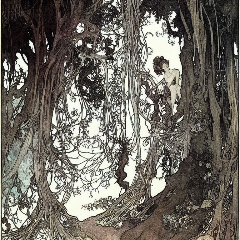 Detailed Illustration: Mystical Forest with Dense, Intertwined Trees