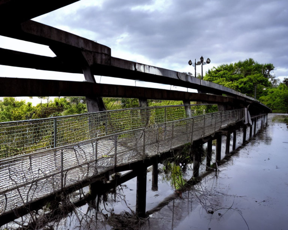 Curved wooden walkway with metal railings over water and greenery