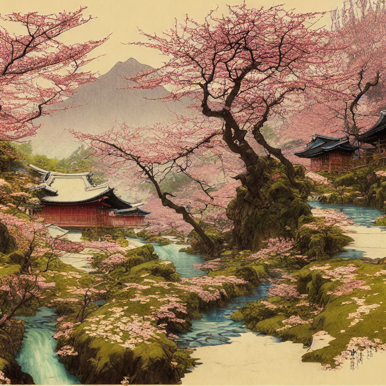 Cherry Blossoms in Full Bloom by Serene Stream