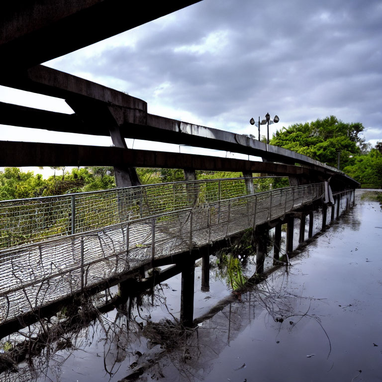 Curved wooden walkway with metal railings over water and greenery