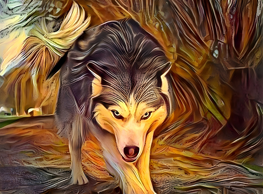 Fierce wolf