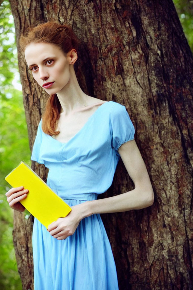 Woman in Blue Dress with Yellow Book Beside Tree