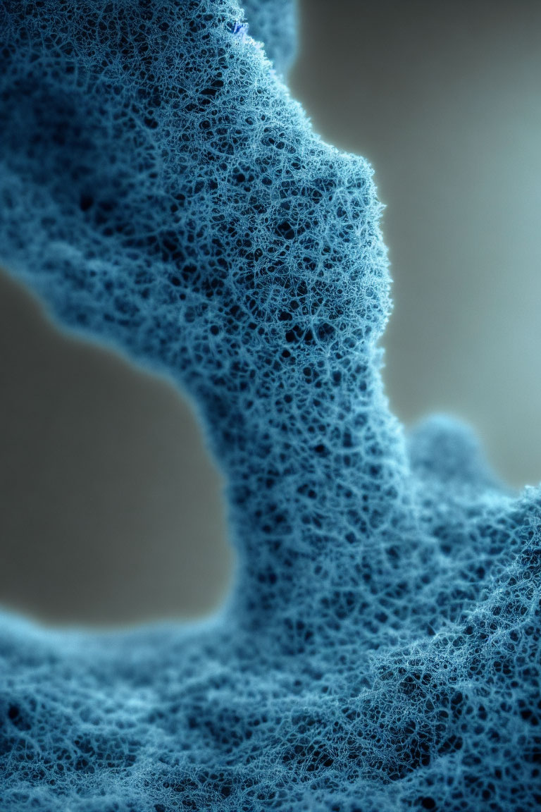 Blue Sponge-like Structure with Intricate Pores in Close-up Shot