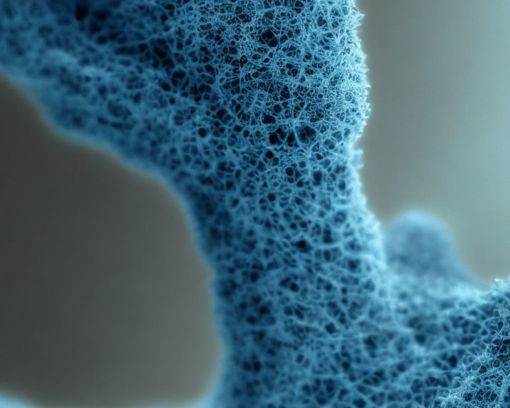 Blue Sponge-like Structure with Intricate Pores in Close-up Shot