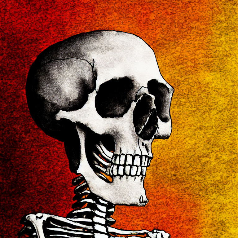 Human skull and partial skeleton on vibrant red to yellow gradient background.