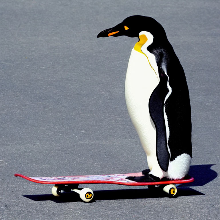 Penguin on Colorful Skateboard on Smooth Surface