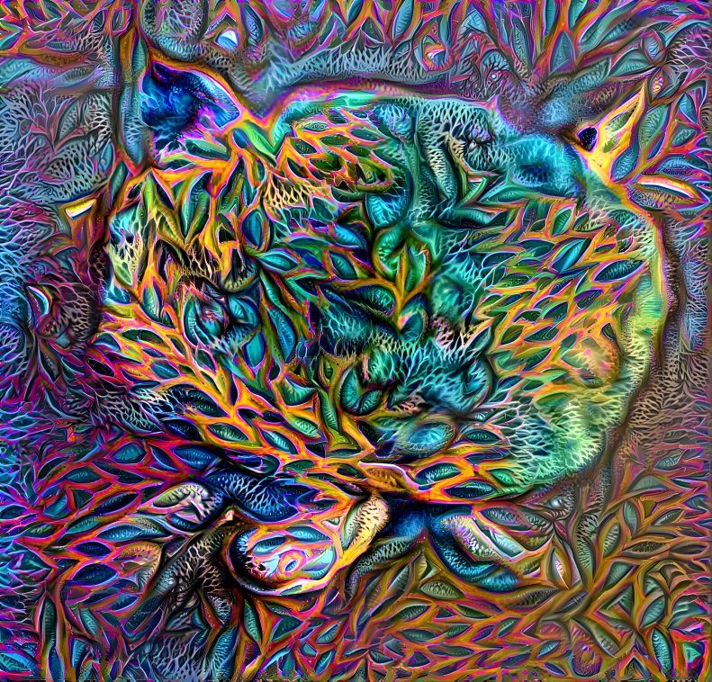 Trippy turtle 