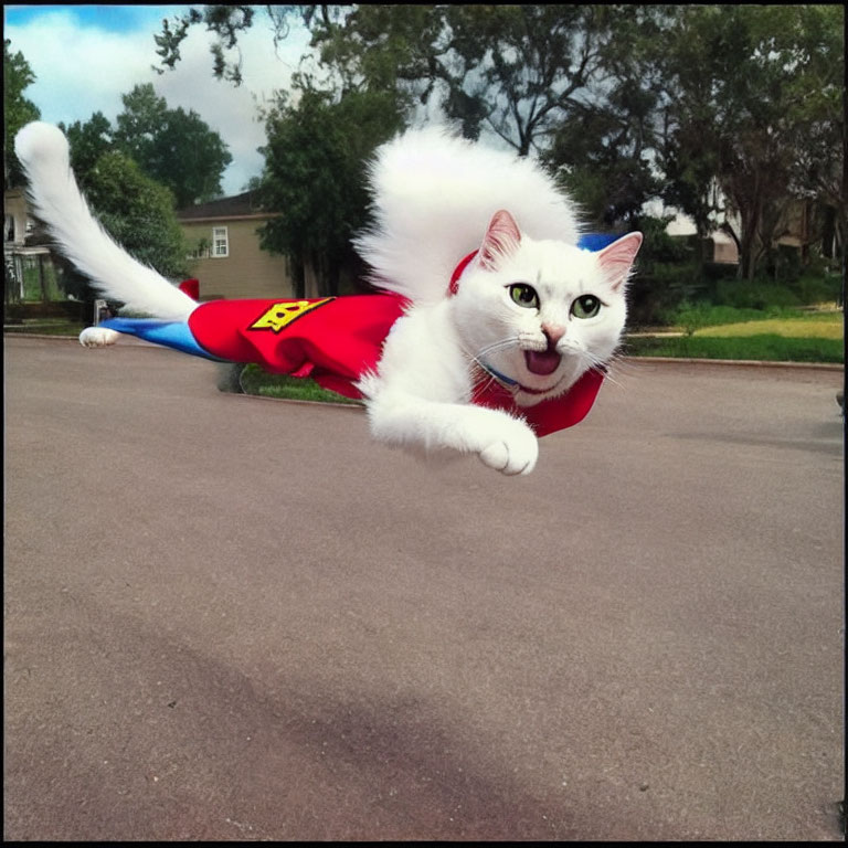 White Cat in Superman Costume Flying with Blurred Background